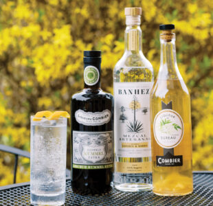 Saumur Tonic