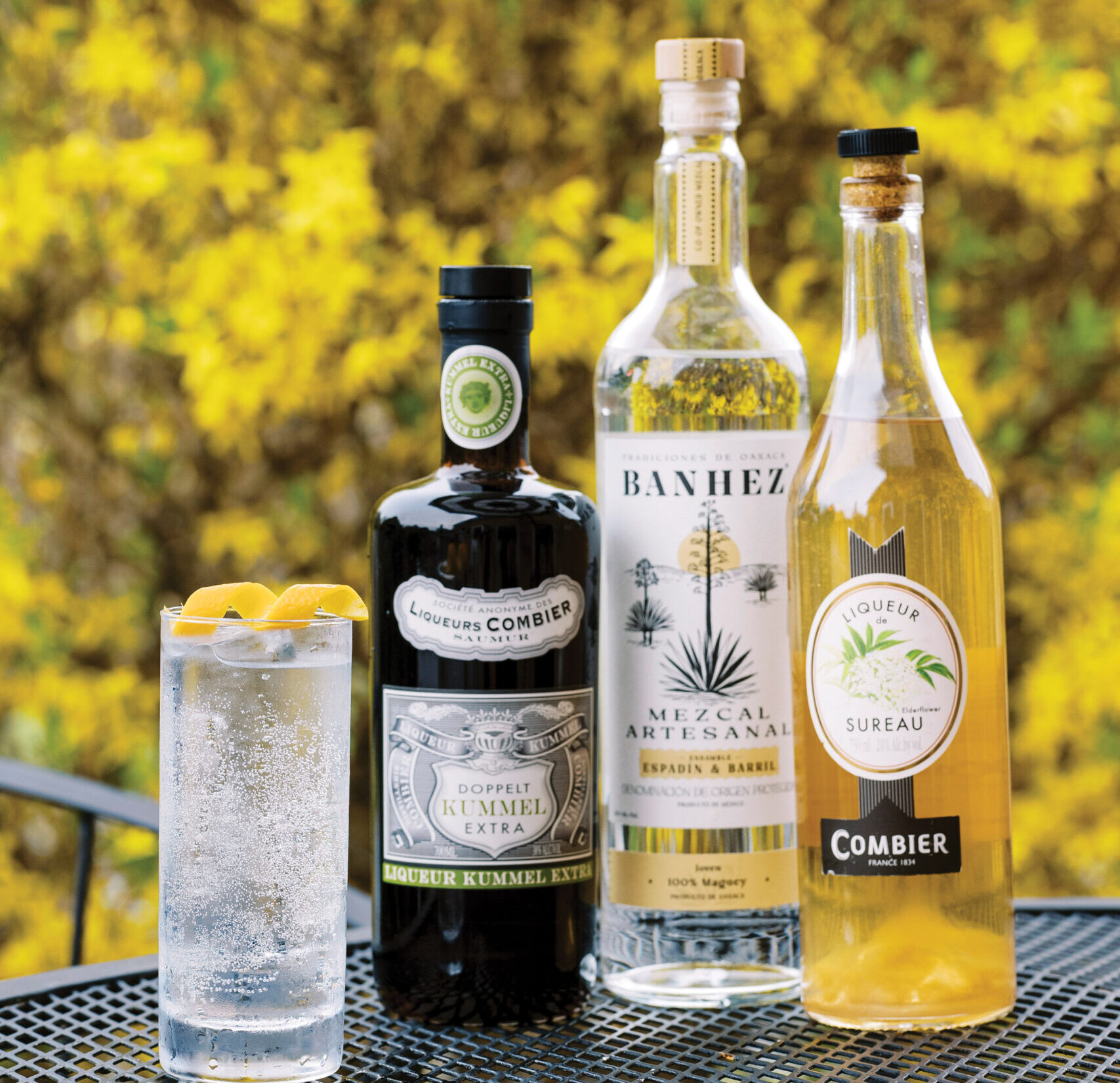 Saumur Tonic