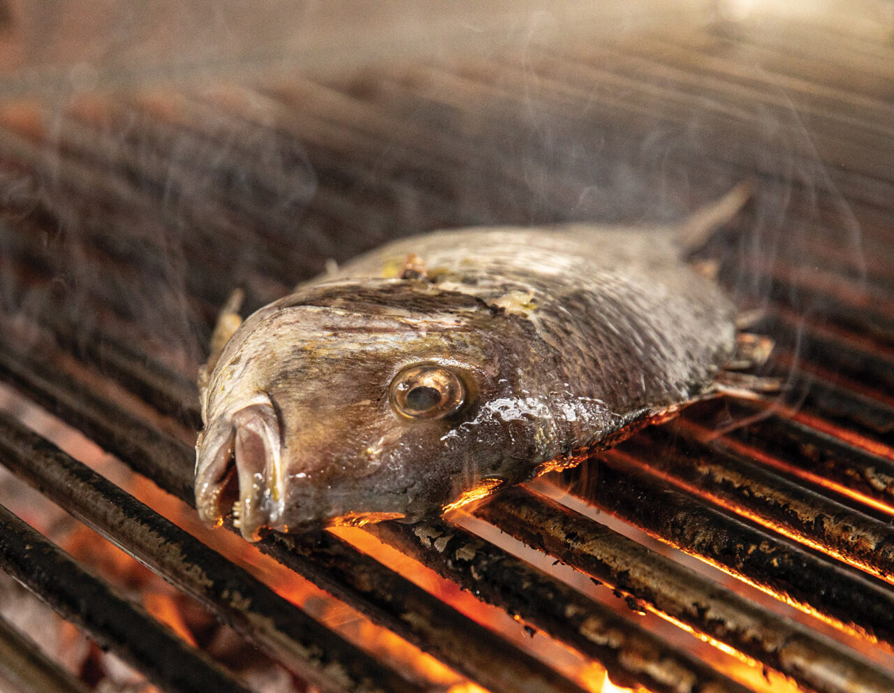 Fish on a Grill