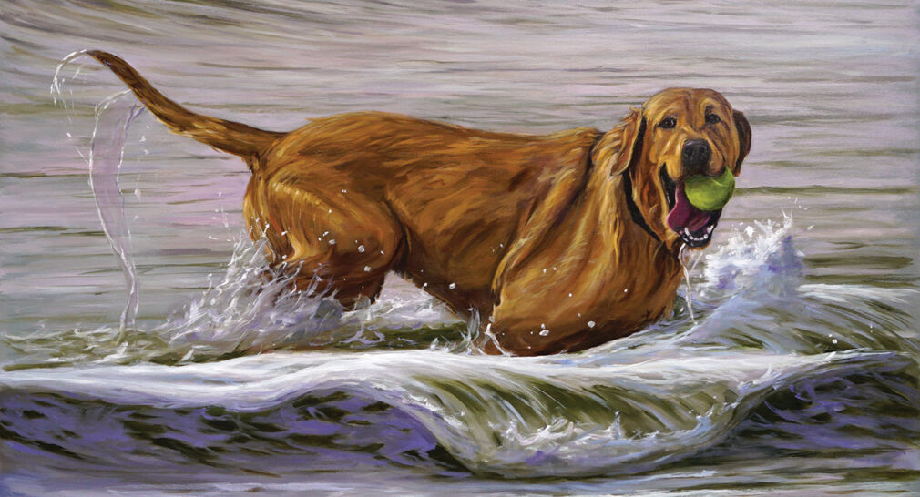 Dog Standing in Water