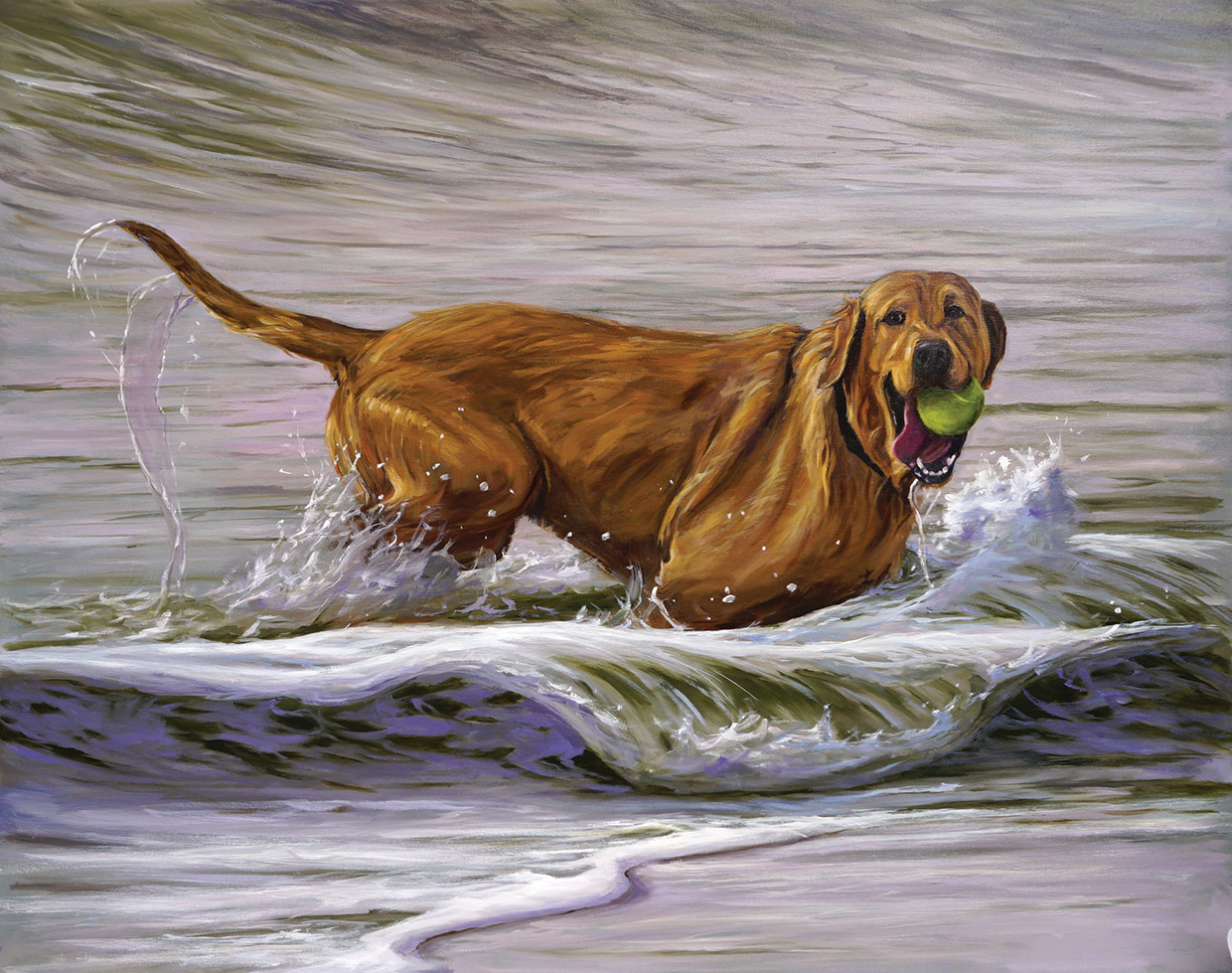 Dog Standing in Water