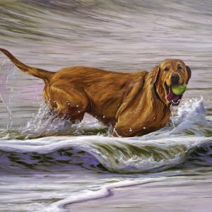 Dog Standing in Water