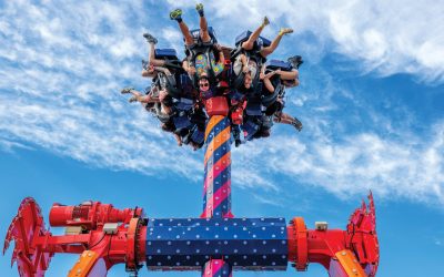 Amusement Park Ride