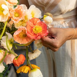 PoppyJarFlowers_May2022_ByJillJasuta-5635