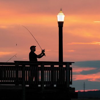 artscoastal_Chincoteague-Virginia-Grant-Gursky