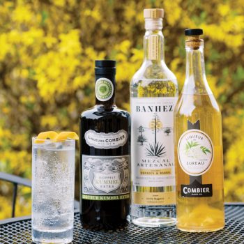 Saumur Tonic